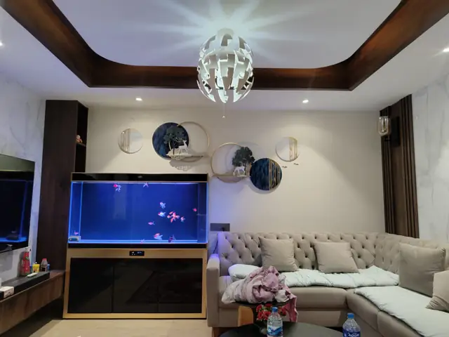 Private Residence, photo 3